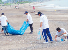 海岸 清掃