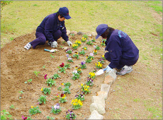 花いっぱい運動